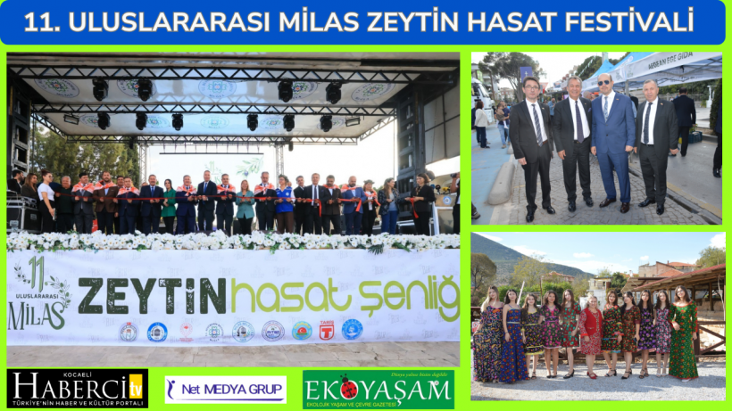 11. Uluslararası Milas Zeytin Hasat Festivali