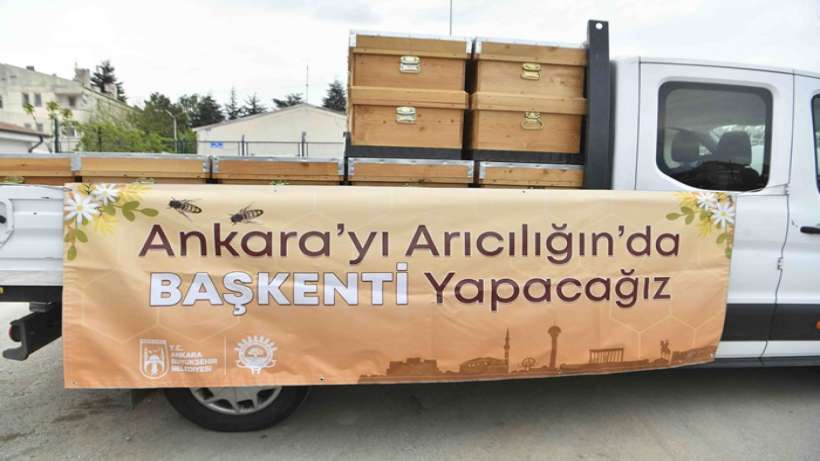 ABB’den 5 bin adet arı kovanı desteği
