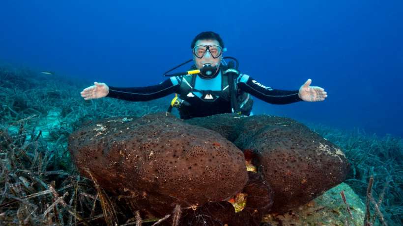 Bodrum’un sualtı ekolojik arkeolojik envanteri belgesel oluyor