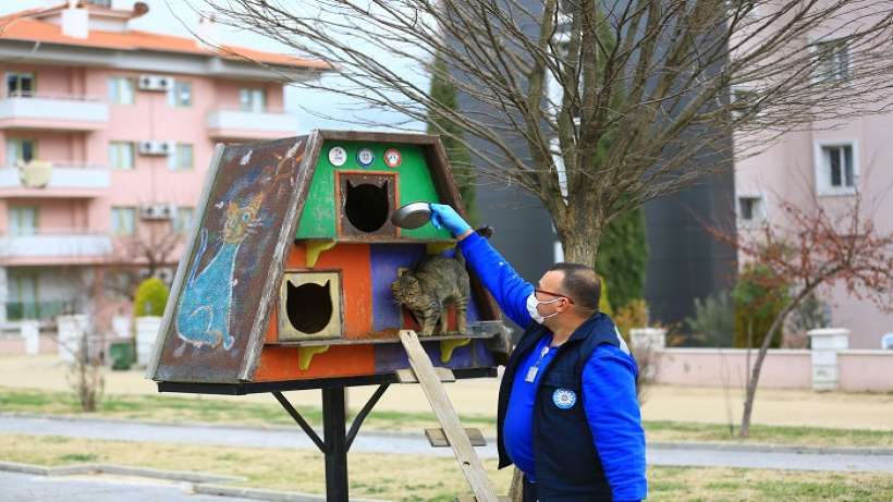 Can Dostları İçin Mama Üretiyor