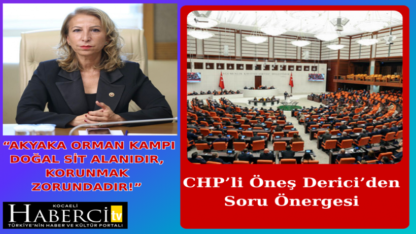 CHP’li Öneş Derici’den Soru Önergesi