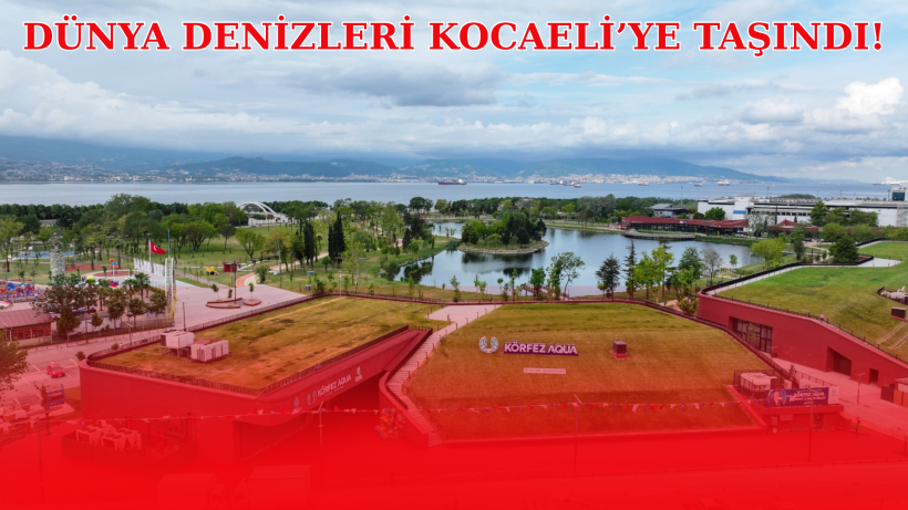Dünya Denizleri Kocaeli’ye Taşındı!
