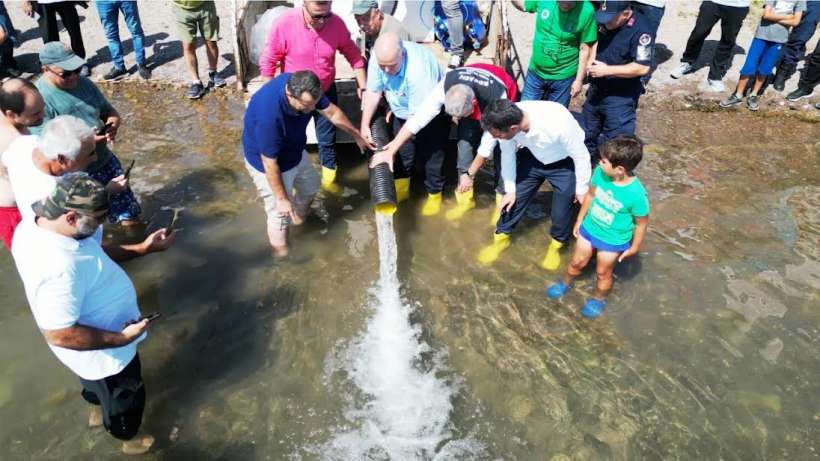 Eşme’de Sapanca Gölüne 100 Bin Sazan Salındı