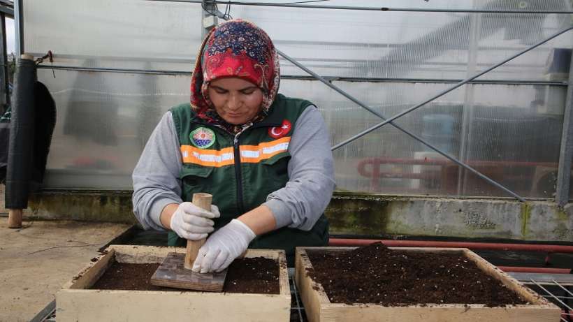 Gölbaşı Belediyesi Ata Tohumlarını Toprakla Buluşturdu