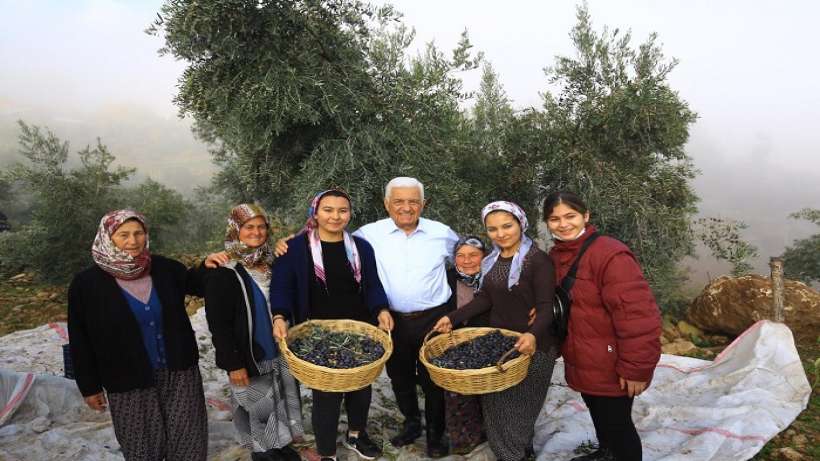 Gürün, “Zeytinliklerin Korunması İçin Hukuk Mücadelesi Başlatıyor!