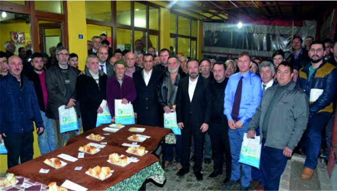 İzmit Belediyesi Köylerde Ceviz Yetiştiriciliğini Teşvik Ediyor