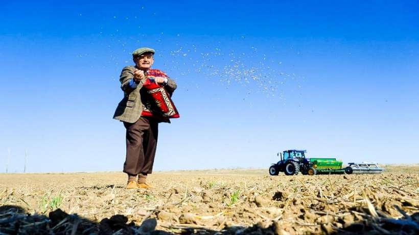 Karakılçık tohumu başvuruları 3 Kasım’a kadar sürecek