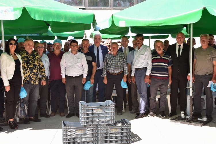 Manisa üreticilere 72 bin zeytin kasasını dağıttı