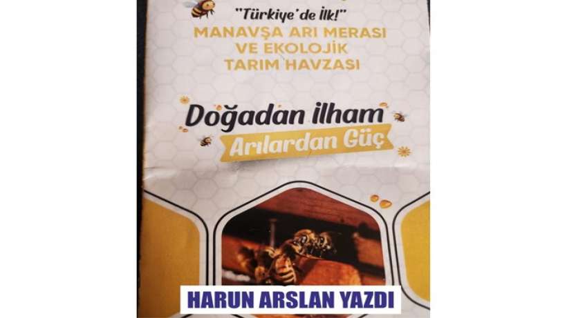 Mersinde Türkiye için bir ilk: Arı Merası Projesi