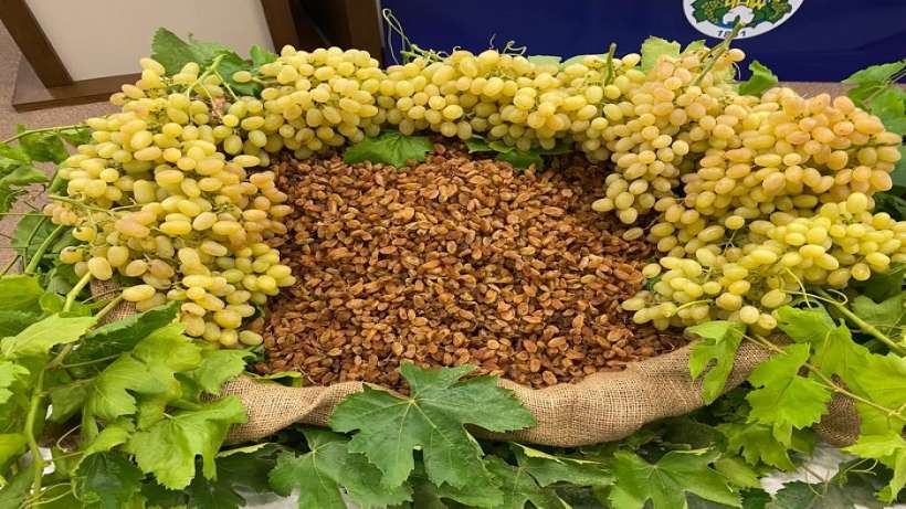 Muhteşem üçlü ihracatta 1 milyar dolar kazandırdı