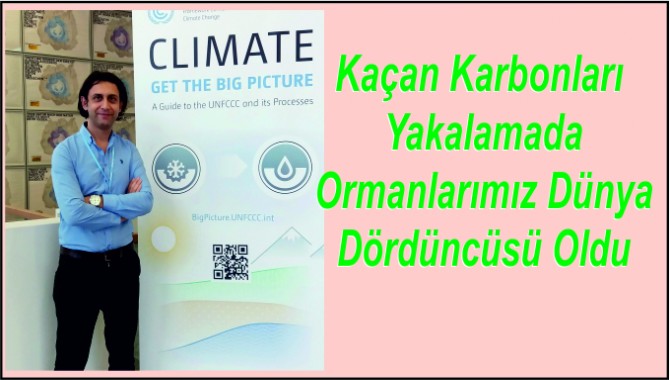 Ormanlarımızın Karne Notu: İyi