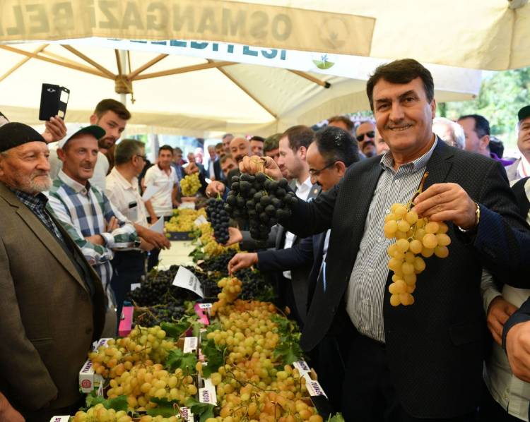 Osmangazi’de Karabalçık Üzüm Festivali
