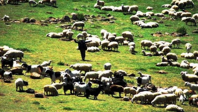 Resmi Gazete’de yayımlandı: 15 Yayla imara açılıyor