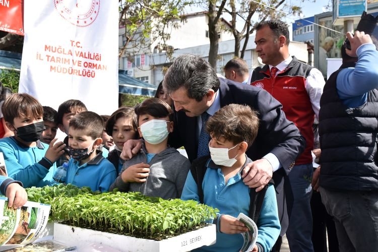 1963'ten günümüze ata tohumlarından elli bin fide toprakla buluştu 