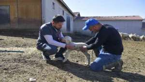 ABB Kırsaldaki üreticiye can suyu olacak