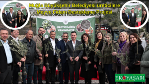 Başkan Aras Meyve Fidanı Dağıtımında Üreticilerle Buluştu