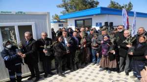 Bodrum Belediyesi’nden yangından zarar gören üreticiye zeytin fidanı