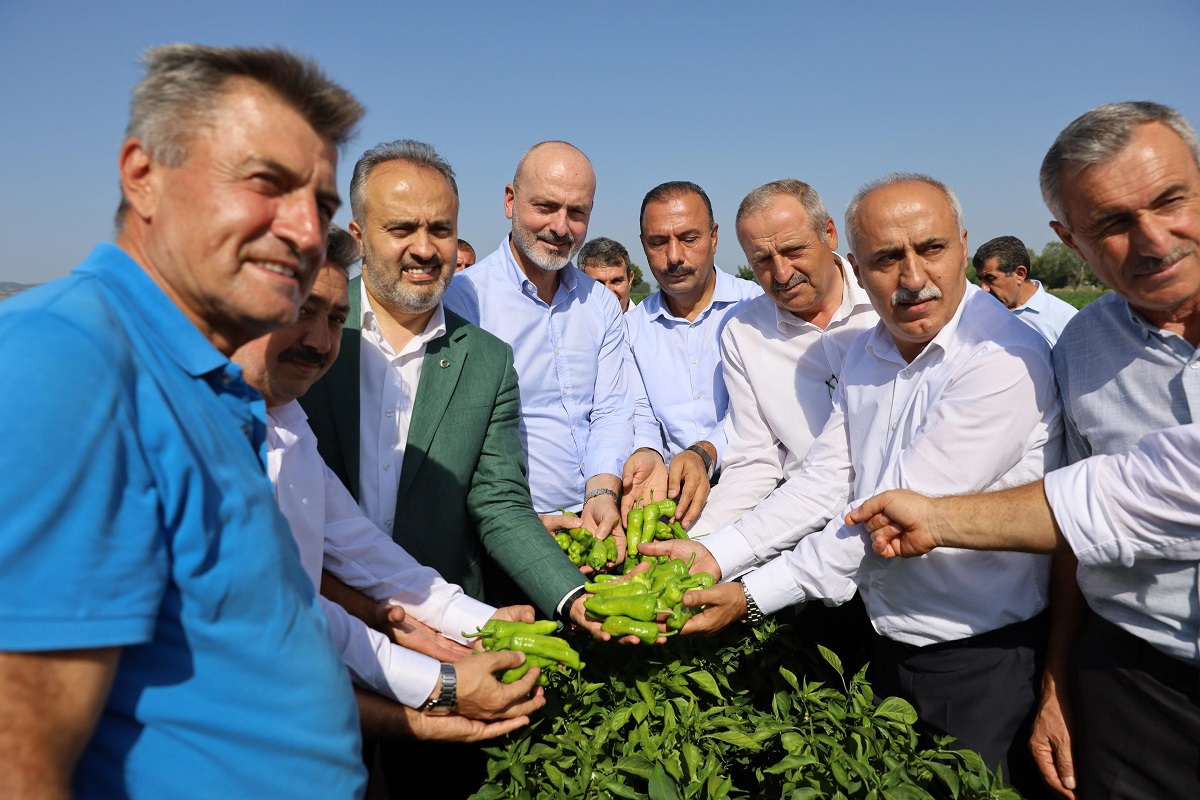 Bursa Büyükşehir destekliyor, çiftçi kazanıyor