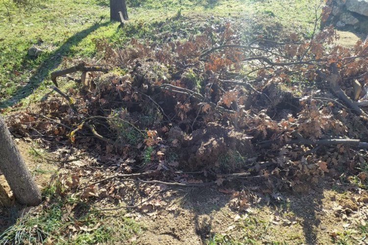 Bursa'da mezarlıkta esrarengiz olay