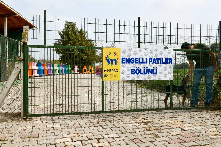 Bursa Mustafakemalpaşa'da 'Engelli Hayvan Birimi' faaliyette