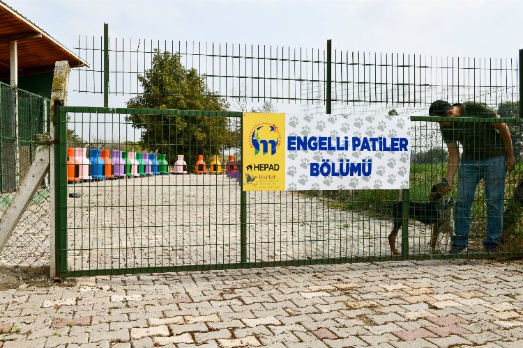 Bursa Mustafakemalpaşa'da 'Engelli Hayvan Birimi' faaliyette