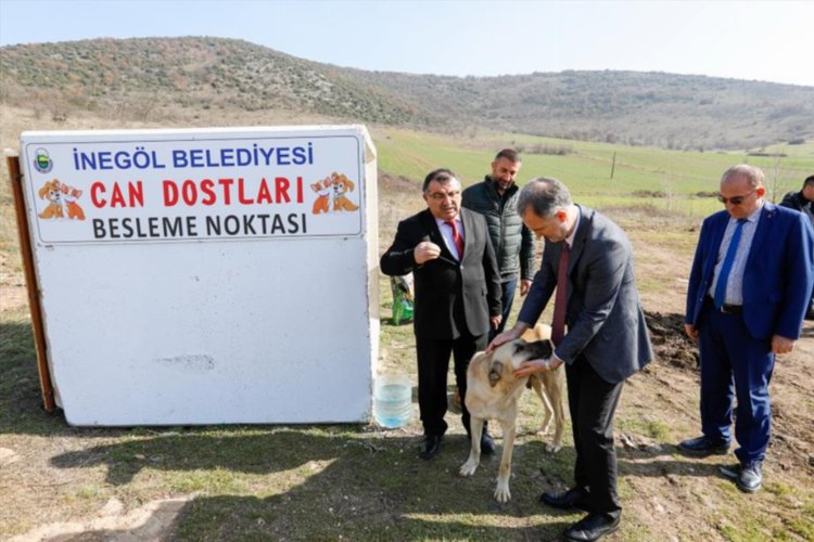 Bursa İnegöl'de can dostları için yeni beslenme noktaları 