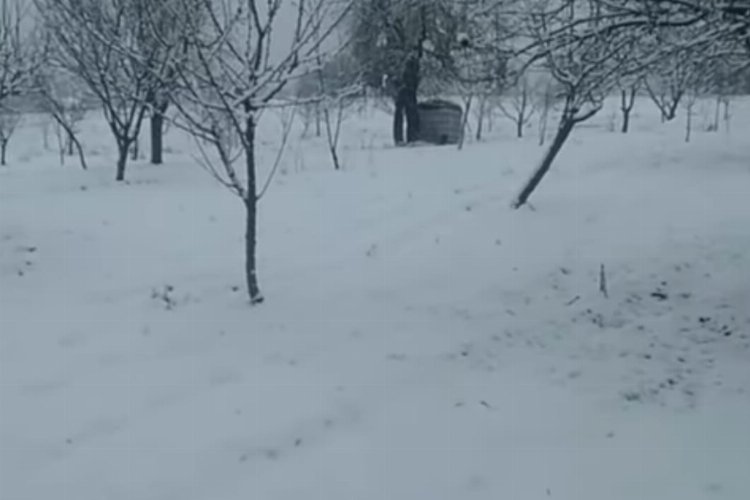 Bursa'nın dağ ilçesi Keles beyaza büründü 