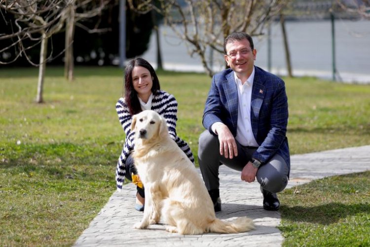 Can dostları 'Sahiplen İstanbul' ile yuva buluyor 