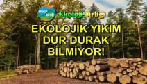 Ekoloji Birliği, Haziran ayı ekolojik tahribat raporunu açıkladı