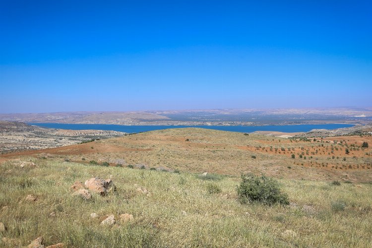 Gaziantep Nizip'in konut ihtiyacına 'Fıstık' gibi çözüm