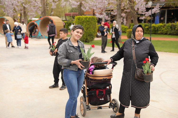 Gaziantep'te baharın müjdecisi laleler 