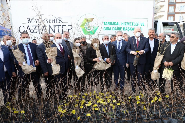 Gaziantep'te Oğuzeli çiftçisine fidan dağıtıldı 