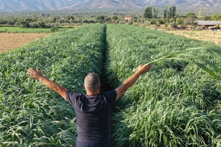 Girişimci Turhan Kendirli tarımda rekora hazırlanıyor