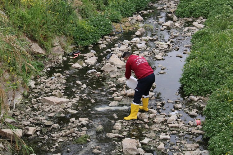Hatay Büyükşehir ekipleri insan ve çevre sağlığı için çalışıyor 
