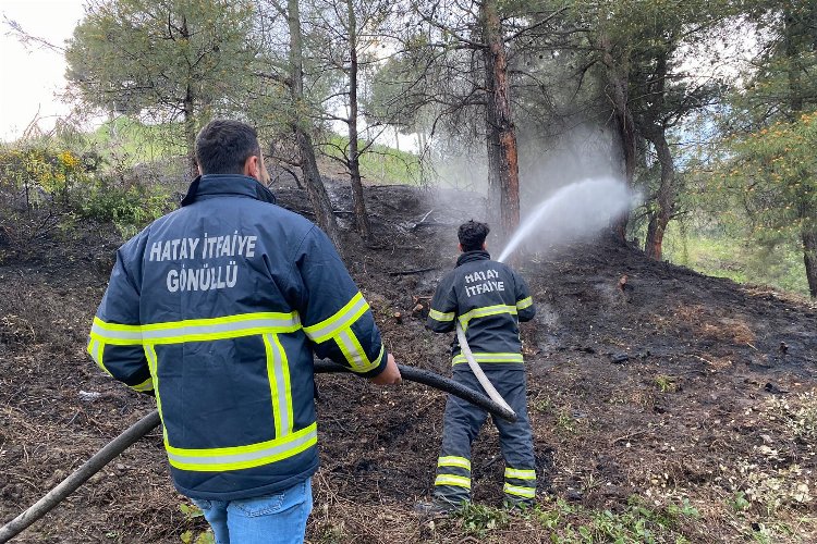 Hatay'daki orman yangını gönüllü itfaiyeciler söndürdü
