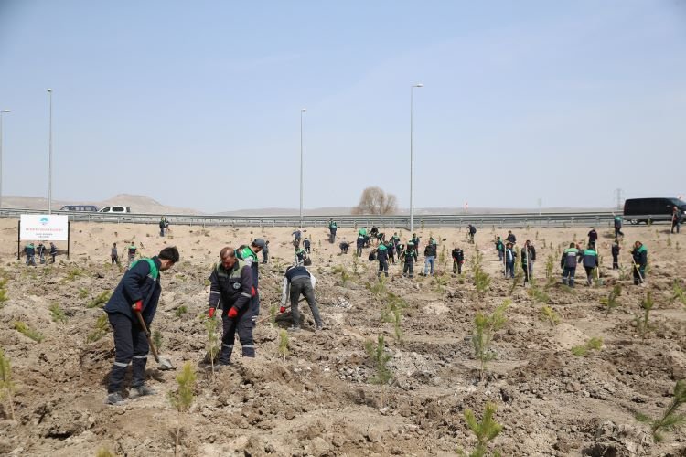 Kayseri Büyükşehir baharın gelmesiyle fidan dikimine başladı 