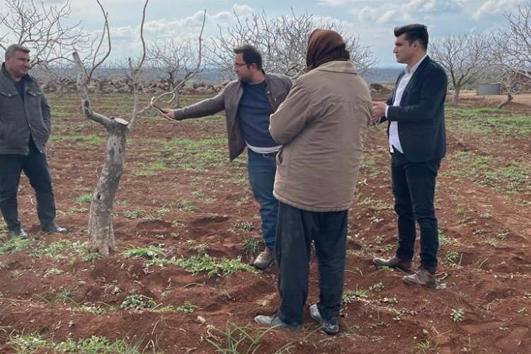 Kilis'te Antepfıstığı üreticileri bilgilendirildi 