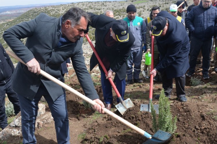 Kilis'te Bal Ormanı'na 15 bin ballı bitki dikilecek