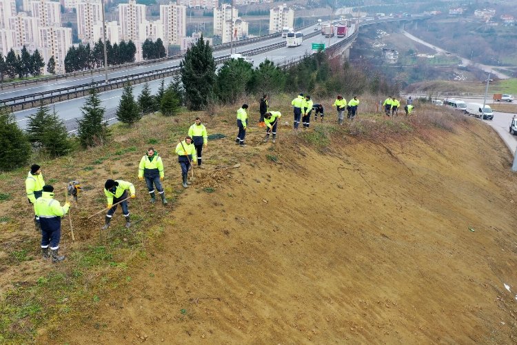Kocaeli Şehir Hastanesi'nde yolunda çevre düzenlemesi