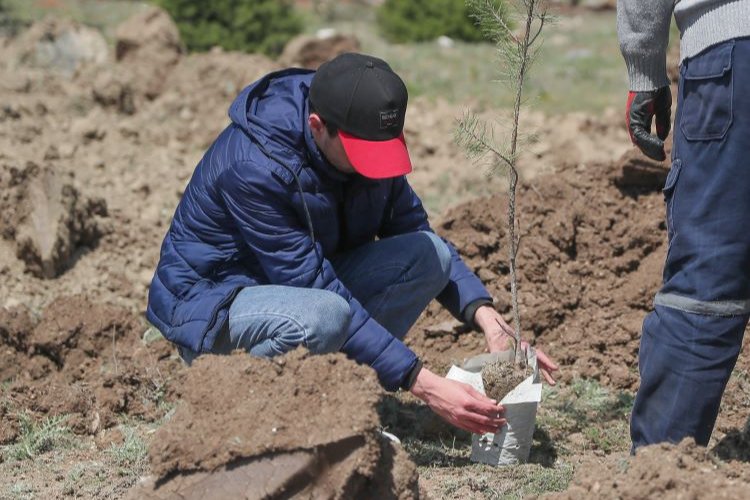 Kütahya'da Haydar Aliyev anısına fidan dikildi 