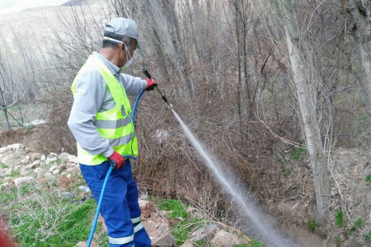 Malatya'da haşerelere karşı çalışmalar devam ediyor 