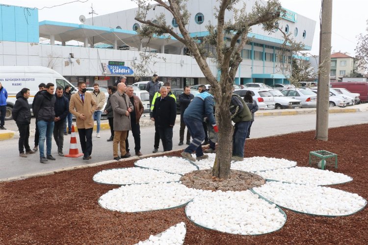 Manisa Akhisar'da peyzaj çalışması