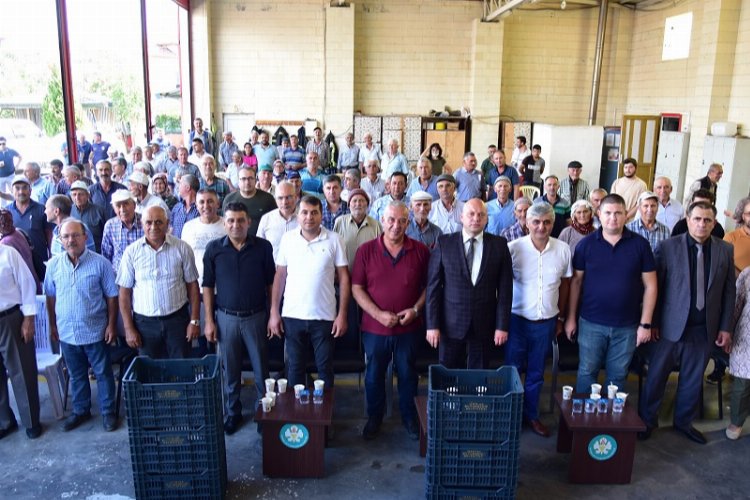 Manisa Kula'da 210 üreticiye daha zeytin kasası desteği