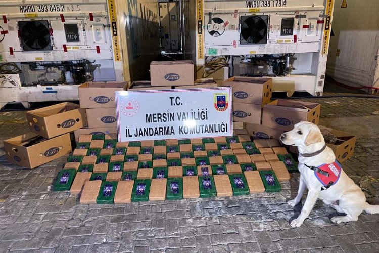 Mersin Limanı'nda 258 kilo uyuşturucu 