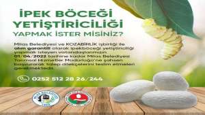 Milas Belediyesi İpek Böceği Yetiştiriciliğine destek veriyor