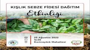 Milas Belediyesi, kışlık sebze fidesi dağıtacak