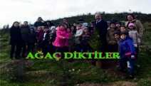 Minik eller ağaç dikti