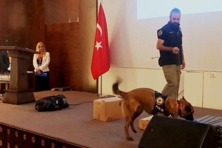 Narkotik uzmanı 'Coco' resmi toplantıyı bastı 