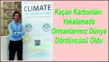 Ormanlarımızın Karne Notu: İyi