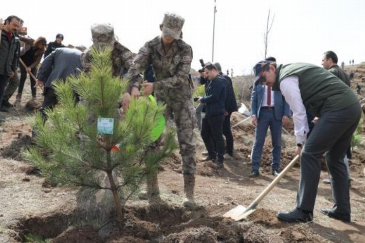 Sivas'ta 'Polis Hatıra Ormanı' oluşturuldu